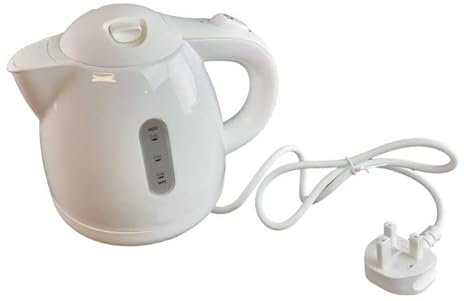 Cordless Electric Mini Kettle
