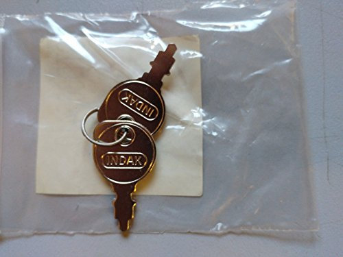 Paire de clés de démarrage pour tondeuse autoportée Indak