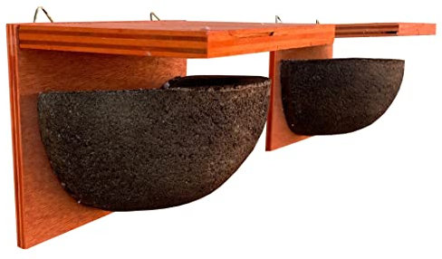 Selections House Martin Bird Nest Box Rounded Half Cup With Top Nester (Pack of 2)
