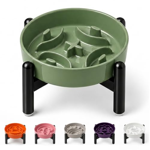 Comedero Perro Elevado Antivoracidad de Cerámica - Cuenco Laberinto con Soporte de Acero Inoxidable para Alimentación Lenta - Plato Comida para Perros Pequeños - Altura 10 cm - 80 g - Verde