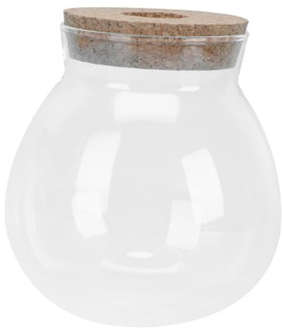 BESPORTBLE Bocal à Poissons Transparent Aquarium pour Poissons Rouges Terrarium Hydroponique Pot pour Plantes Hydroponiques Bocal Décoratif De Bureau