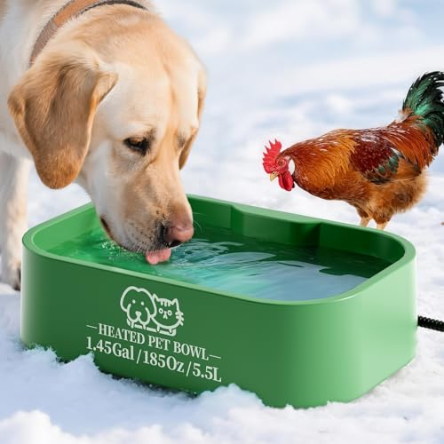 5,5 L Extra-Großer Beheizbarer Wassernapf für Hunde & Katzen,Outdoor Beheizte Hundenapf mit Anti-Kau-Kabel, Wasserdichter Beheizter Wassernapf für Hühner, Eichhörnchen, Kaninchen im Winter,Grün