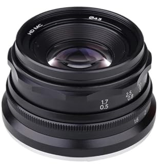 camera lens, 35mm F1.6 V APS-C Prime Lens,Compatible For Sony E A6600 6500 Fuji XF Canon EOS-M M50 Panasonic/Olympus Micro 4/3,in parts(Black,E mount)
