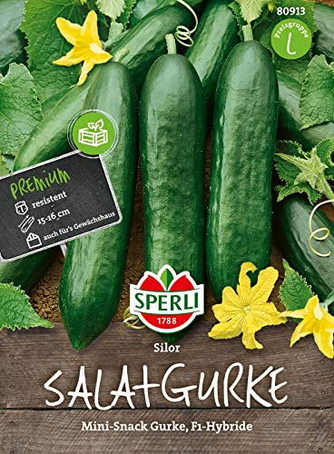 80913 Sperli Premium Gurken Samen Silor | Gurkensamen Freiland | Salatgurken Samen | Gurken Samen Snackgurke | Gurken Samen Gewächshaus | Salatgurken Samen | Gurken Samen Freiland | F1