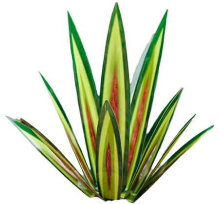 KWJNH Tequila Rustikale Skulptur, Metall-Agaven-Pflanzen für den Außenbereich, Terrasse, Garten, rustikale Metall-Agavenpflanze, handbemalt