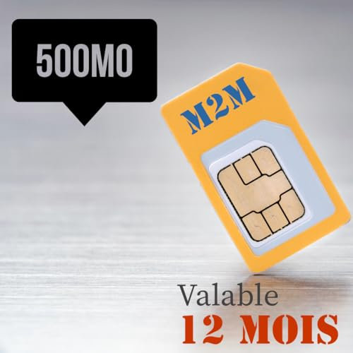 Carte SIM M2M Prépayée Multi-Opérateurs - 500Mo Valable 12 Mois pour systèmes Iot