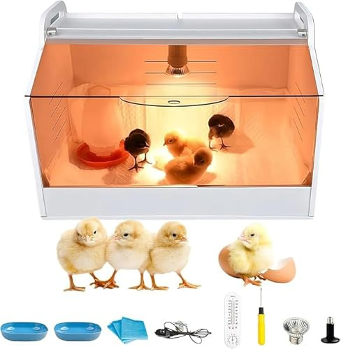 Geflügel Kükenbrüter Brutbox Ausrüstung, Kükenaufzuchtbox, Inkubator Hühner | Küken Aufzucht Box, Aufzuchtbox mit Transparente Öffnung, Mit Thermometer und Lampe für Reptilien