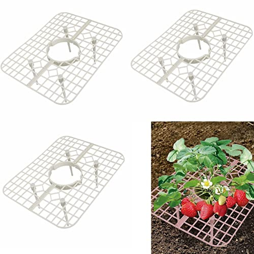 NLDGR Erdbeerstützen, Erdbeerpflanzenständer, Erdbeer-Anzuchtrahmen, Pflanzenstützschale, Erdbeer-Rankgitter für Gartenpflanzen, 10 Stück