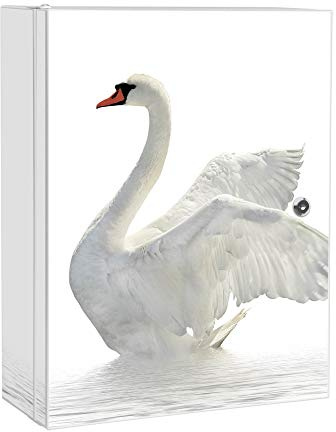banjado Medizinschrank abschliessbar mit Motiv Schwan 35x46x15cm - großer Arzneischrank für die Hausapotheke - Medikamentenschrank aus Metall zur Medikamenten Aufbewahrung