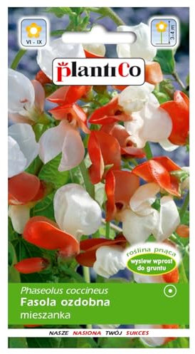 PlantiCo fagiolo di Spagna 10g Phaseolus Coccineus semi ornamentali Semi di ortaggi robusti Semi di ortaggi Semi per la coltivazione Giardino in serra Giardino di ortaggi