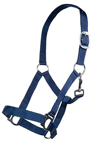 Posten Brisbane Halfter dunkelblau Pony