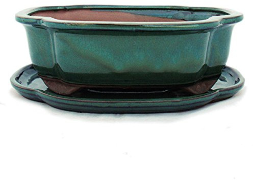 Bonsaï Bol avec sous assiette Taille 4 – Vert – haitang/ovale – Modèle I4 – L 26 cm – B 20,5 cm – H 8,5 cm