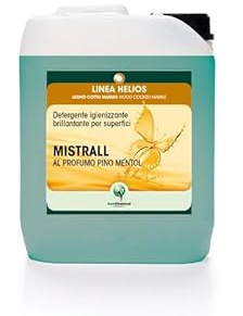 New Chemical MISTRALL PINO - MENTOLO detergente Igienizzante Brillantante per Superfici. Confezione da 5 LT