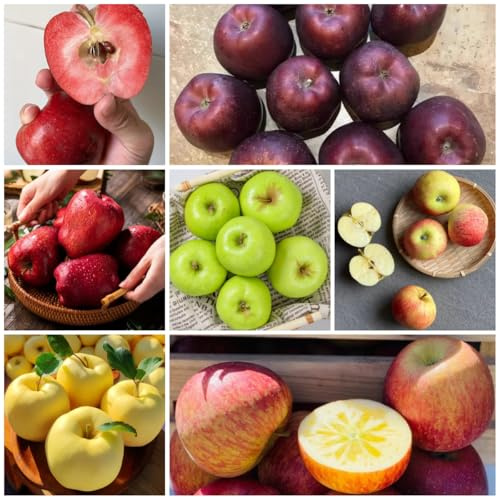 apfelbaum, gartendeko für draußen apfel kaufen obstbaum, garten winterhart anzucht grünpflanzen zimmerpflanzen gartenpflanzen 125pcs
