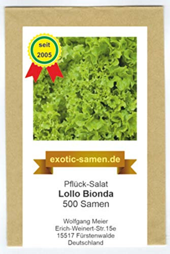 Pflück-Salat - Lollo Bionda (500 Samen)