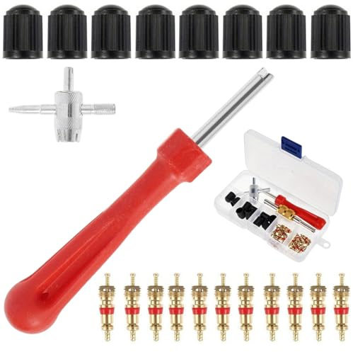 MUNZE Obus Valvula, 1 Llave + 1 Extractor 4 En 1 + 20 Tapas + 20 Obturadores Para Neumáticos, Herramienta Reparación Universal Para Coche Moto Bicicleta (Caja Transparente)