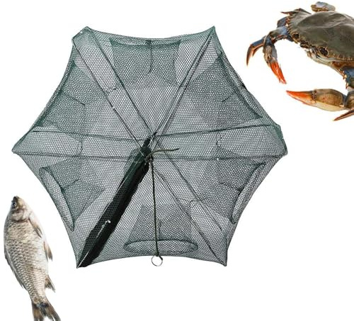 Changyeah Red de Pesca, Reuses Plegables de 6 Agujeros para la Pesca de Peces, Red de Cebo Plegable para Peces, Trampa Plegable de Cangrejos Fundida, para la Captura de Peces, Gambas, Cangrejos