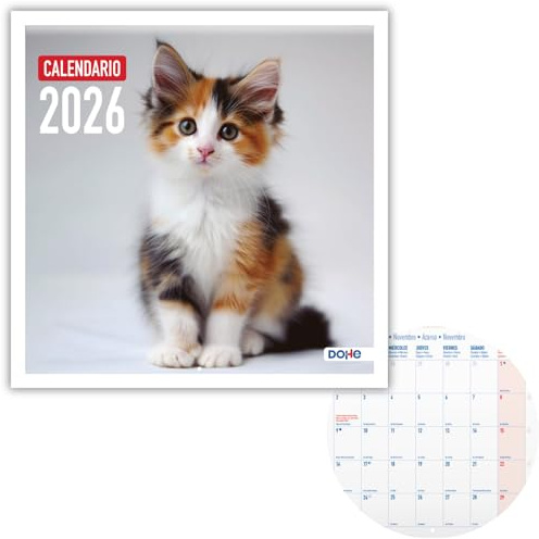 Dohe - Väggkalender 2026-12 månader januari till december, månadsvy, 30 x 30 cm, spanskt språk, häftbindning, utrymme för anteckningar, årsplanering, tjockt papper 120 gr/m² - katter