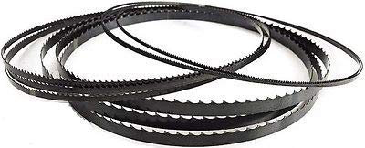 LAMA PER SEGA A NASTRO LEGNO 1400x6 mm. D6