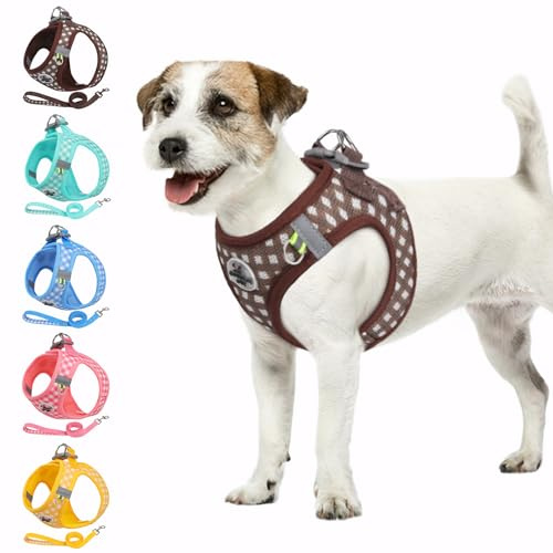 Savlot Hundegeschirr Welpengeschirr für kleine Hunde Step-in, Reflektierendes Atmungsaktiv Geschirr mit Y-Brustdesign für Extra Kleine Hunde wie Chihuahua, Welpen (XS-L)