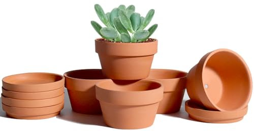 Vensovo 6er-Pack 9,4 cm Flache Terrakotta-Sukkulententöpfe mit Untersetzern | Tontöpfe mit Ablaufloch für Kakteen und Sukkulenten, ideal für den Innen- und Außenbereich