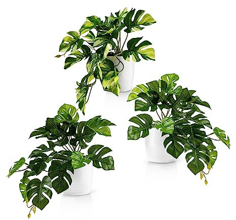 PASCH® 3er Set Monstera künstlich (20cm) in weißen Keramiktöpfen: künstliche Pflanzen wie echt | Monstera Pflanze künstlich | Kunstpflanze hängend im Topf | Hängepflanze künstlich abgestimmt