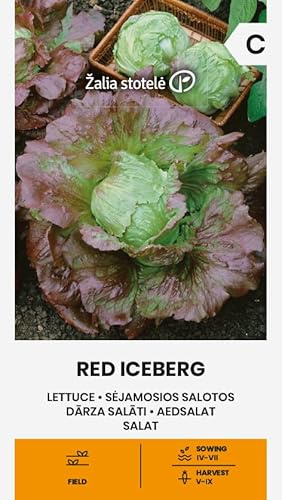 Zalia Stotele | Lechuga RED ICEBERG semillas | Semillas de hortalizas | Semillas de plantas | Semillas de jardín | Semillas de lechuga | 1 paquete