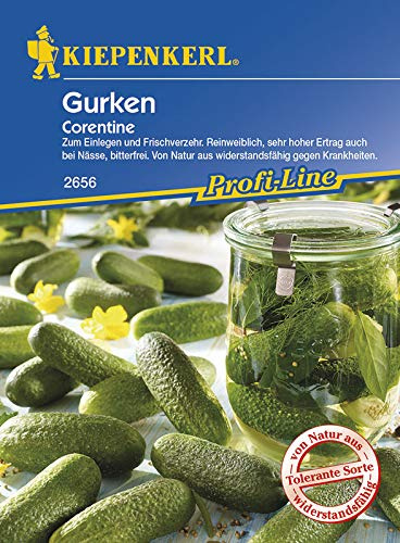 Kiepenkerl 2656 Einlegegurke Corentine (Einlegegurkensamen)