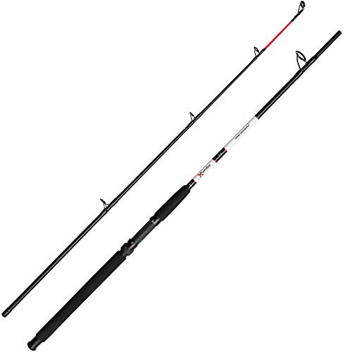 DAM Angelrute Meeresrute Bootsrute - Aqua-X Boat 2,10m 20lb 100-250g