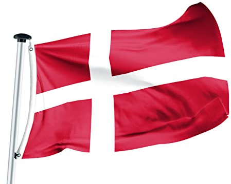 FLAGLY Premium Flagge Dänemark 100 x 150 cm - 115g/m² Stoffgewicht - gedruckt, robustes und witterungsbeständiges Fahnenpolyester mit Ösen (100 x 150 cm, Dänemark)