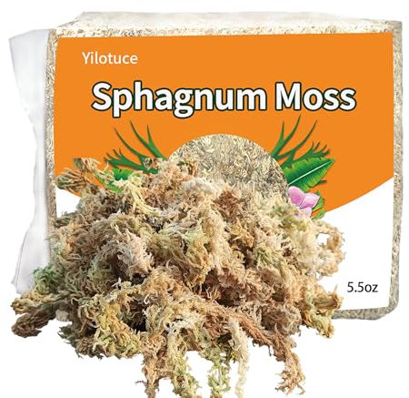 Yilotuce Sphagnum Moos, 155 g spaghnummoss für Orchideen, Gutes Kultursubstrat für Orchideen, Geweihfarne, Pflanzensetzlinge, Bewurzelung von Stecklingen und Anderen Pflanzen