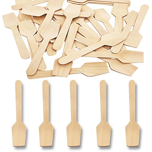Mini Wooden Spoons, 200 Pcs 4 Inch Disposable Wooden Dessert Spoons, Biodegradable Compostable Birchwood