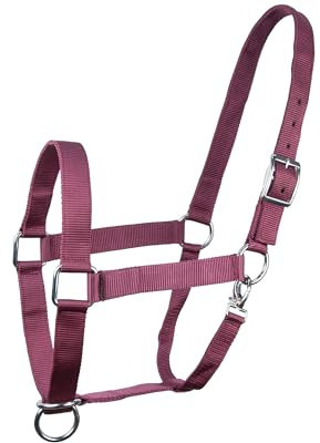 Brama West Cabestro para caballos sangre fría, cabestro XFull XXFul XXXFull | muy robusto y resistente | ajustable | cabestro de establo | rojo vino, XXFull