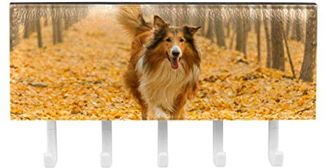TBOUOBT Schlüsselhaken Wandhaken, Schlüsselleiste für Leine, Briefhalter für Eingangsbereich, 5 Haken,Rauer Collie Hundeherbst Tier