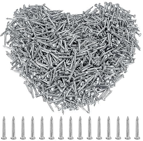 Nägel Sortiment Set, Um3000 Stück Kleine Nägel, Wand Nägel zum Aufhängen von Bildern, Kunstnägel, Rundkopf Bildernägel, Wandnägel für Bilderrahmen Holzbearbeitung, 3x10mm-Silber