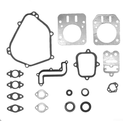 Jeu de joints moteur pour tondeuse à gazon 791797 699638 698680 697000 avec kit de reconstruction de pompe à carburant 17 pièces métalliques pour l'entretien du moteur