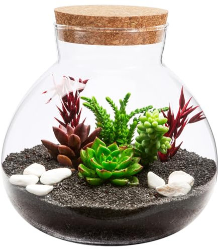 CAXUSD Glasterrarium Runde Glasflasche Mit Korkdeckel Mikro-landschaftsbehälter DIY-pflanzflasche Für Heimdekoration Innenbereich Gartenarbeit