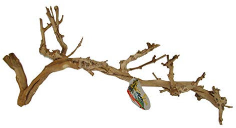 Lucky Reptile vinstockar, storlek: liten