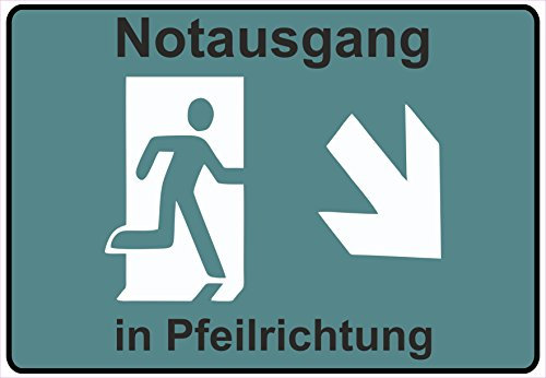 Schild Hinweisschild Hinweis Notausgang in Pfeilrichtung Rechts Unten Exit SOS