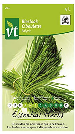 Ciboulette Polyvit Bio Graines - Saveur plus fine et plus discrète