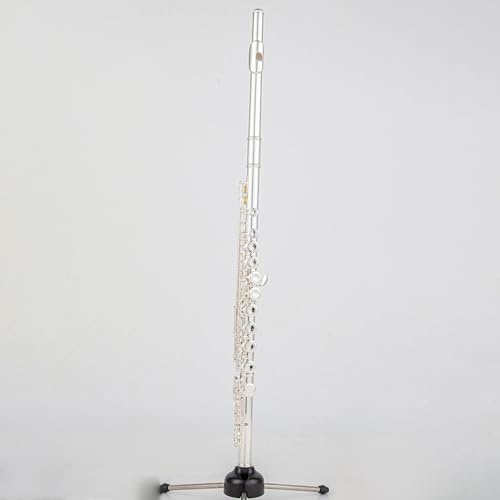 Professionelle Querflöte Flöte 16/17 Löcher Versilbert Querflöte Flauta Obturator C-Tonart Mit E-Tonart Musikinstrument(700E)