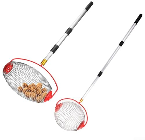 HEBEOT Collecteur de fruits en noyer et châtaignier, outil de jardinage (grand)