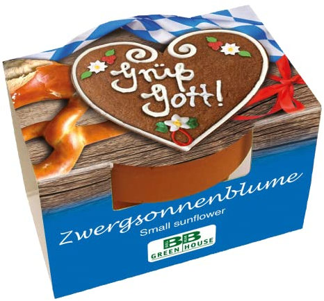 Bull & Bear Mini Pflanzset 'Grüß Gott' mit Zwergsonnenblumen Samen im Topf 4,5cm, kleine Sonnenblumen als Anzuchtset mit Pflegeanleitung