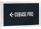 Steinberg Cubase Pro 12 Audio-MIDI-Sequenzer, Recording Software für Studioanwendungen oder Homerecording (Workflow & Performance optimiert, neue Features: MIDI Remote Integration, FX Modulator uvm.)
