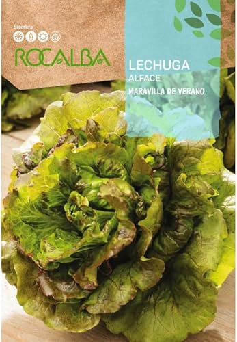 Semillas Lechuga Maravilla de Verano
