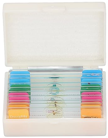 Mikroskop-Objektträger mit Proben präparierten Objektset 10 Stück hoch transparente Glas rutsche zur Beobachtung von Tier pflanzen-Bug-Gewebe-Labor zubehör für Kinder studenten