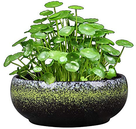 Einfacher Keramik-Hydrokultur-Blumentopf, großer, porenfreier Narzissen-Blumentopf, Retro-Flow-Glasur, Sukkulentenplatte, Keramik, porenfreies Kupfer, Geldgras/Einblatt-Lotus/Schüssel, Lotusbecken