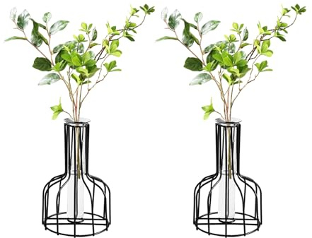 Mtsooning Schwarze Metallrahmen Vasen, für Tisch Wohnzimmer Hochzeit Deko | 2 Blumenvasen mit Metallrahmen klarer Glasröhre, Modernes Design für Wohnräume, Tische und Festliche Dekorationen