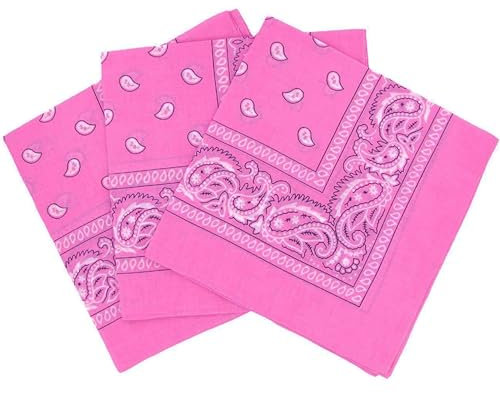 Carnavalife Pañuelos Bandanas Paisley de Algodón 55x55cm