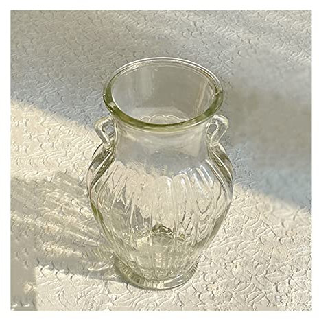 Vas för blommor Transparenta glasvaser Blommor Gröna växter Vattenkultur Vaser Torra blommor Blomsterarrangemang Transparenta bordsvaser Blomvas